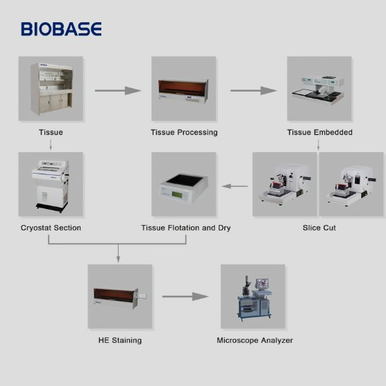 Biobase Manual Rotary Microtome High-Precision Roller Screws Manual Rotary Microtome for Lab