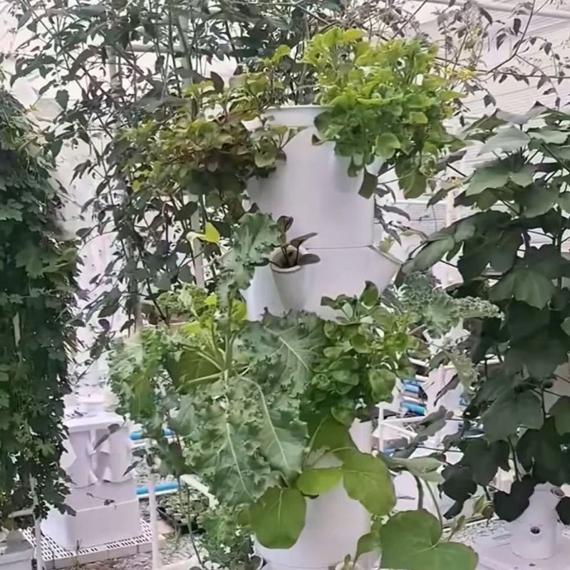 Vertical Hydroponic Tower Garden with LED for Greenhouse Use