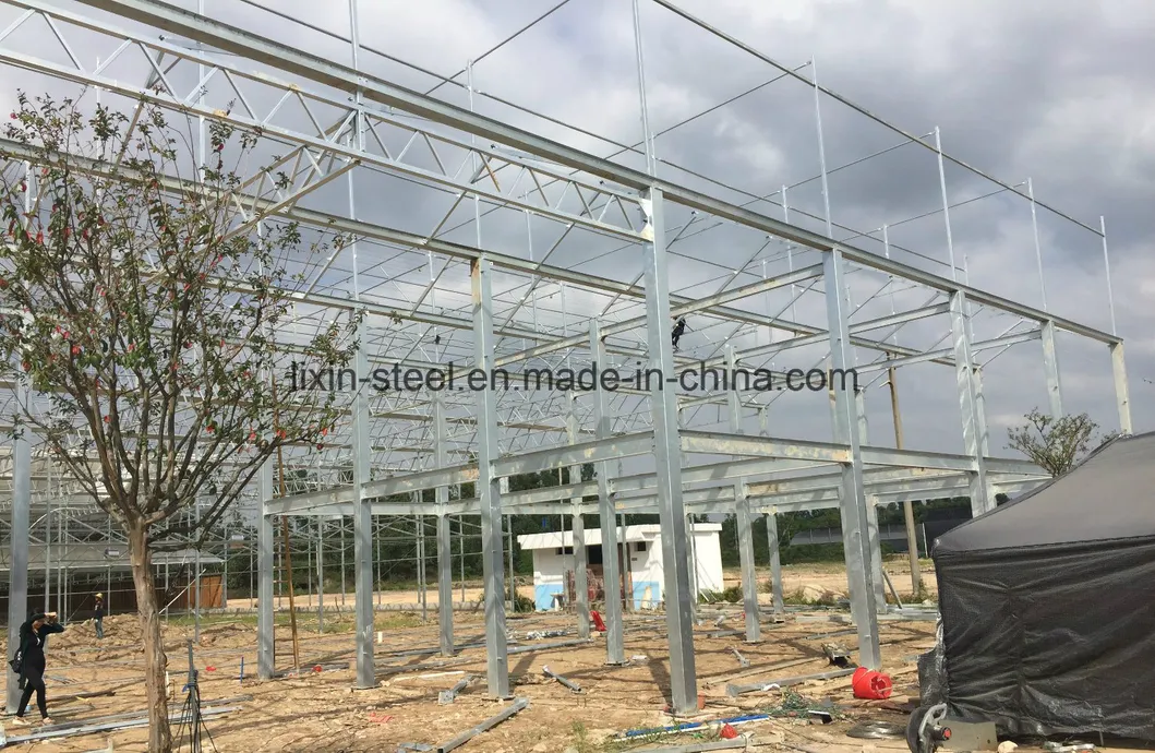 Steel Structure Greenhouse