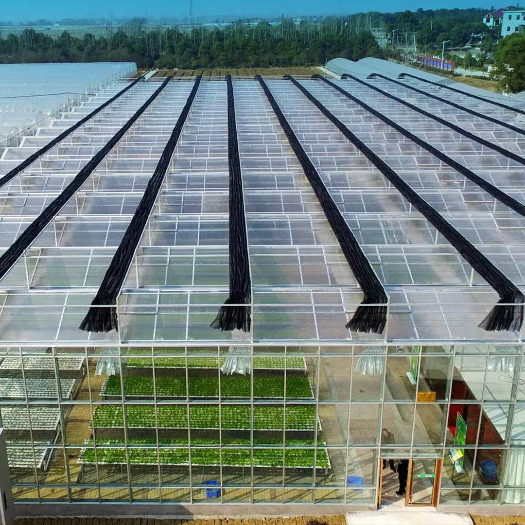 Smart Ai &amp; IoT Greenhouse with Full Automation for High-Yield Tomato/Lettuce &amp; Vertical Farming