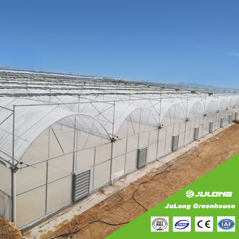 Turnkey Project Agricultural Multi Span Film/Polycarbonate/Glass Steel Structure Greenhouse with Hydroponics Irrigation System Used Tomato/Lettuce/Strawberry