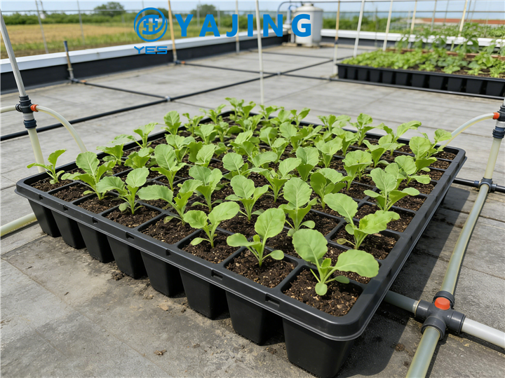 Rooftop Planting Box with Anti-Corrosion Design for Urban Gardens