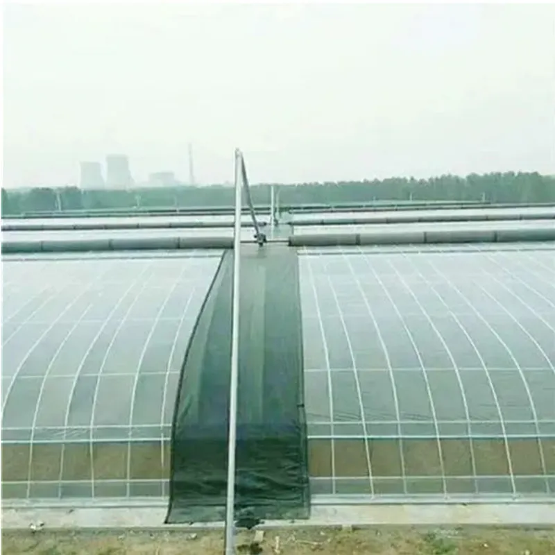 Greenhouse View 9
