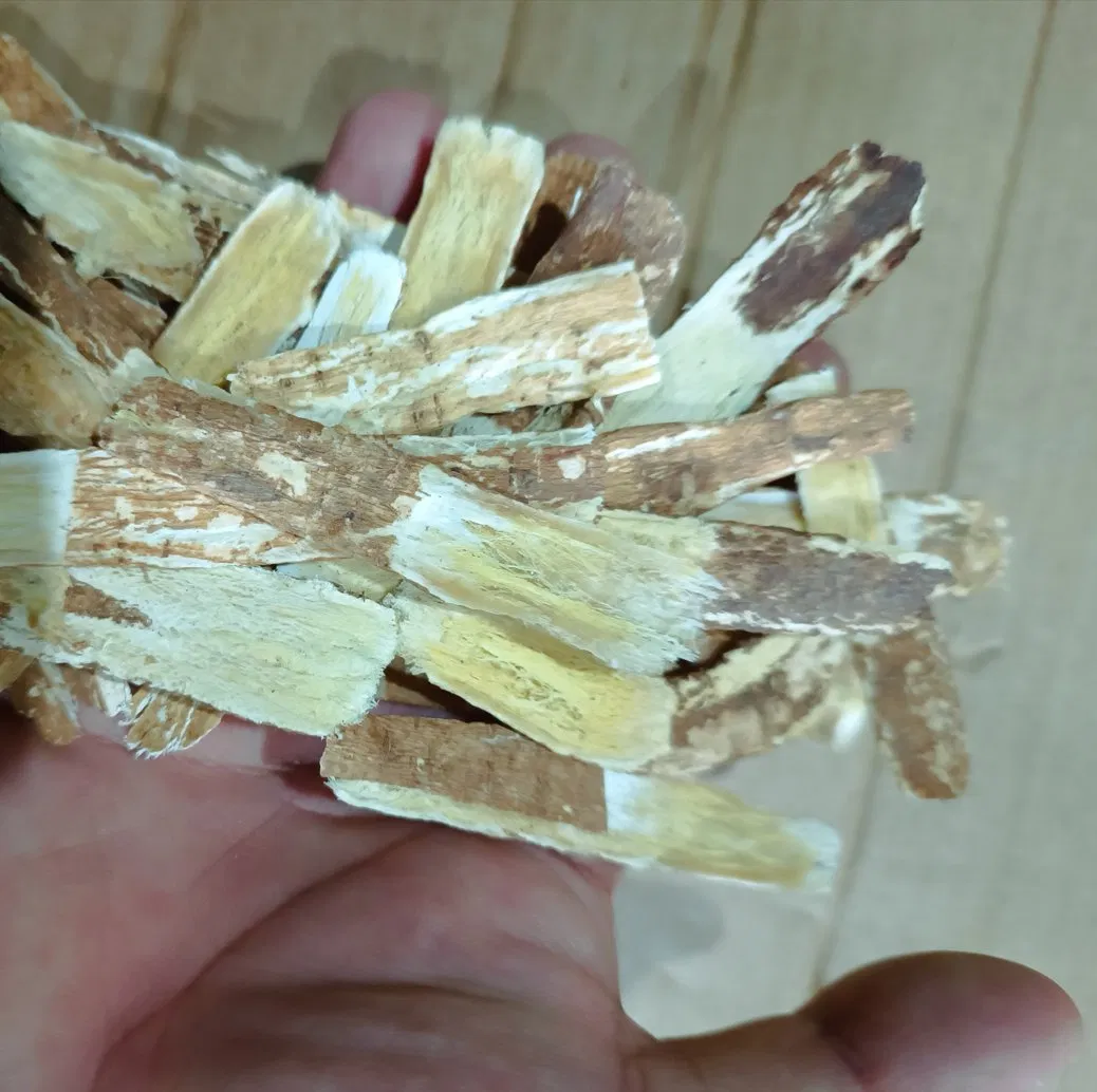 Factory-Wholesale Gansu-Origin Chinese Herbal Medicine Red Astragalus Export of Chinese Medicinal Herbs Red Astragalus Radix Hedysari