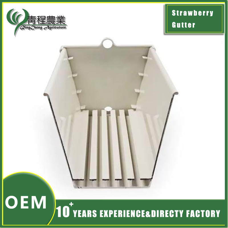 Premium Strawberry Growing Pot for Organic Gardening Practices