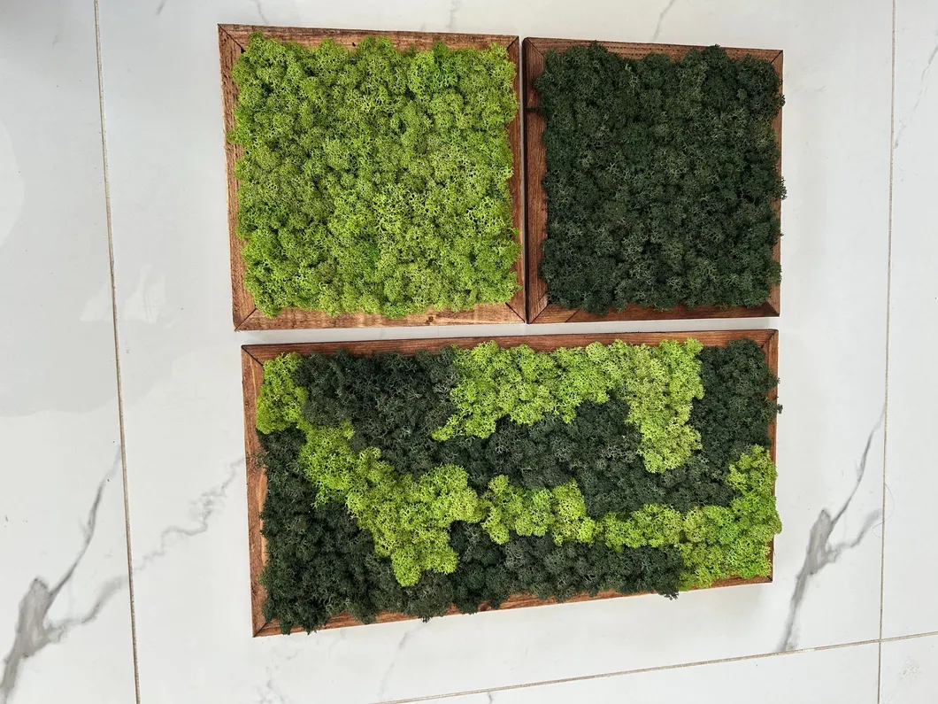 Moss Wall Decor Preview 2