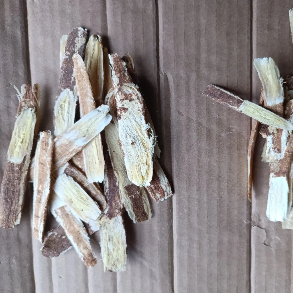 Factory-Wholesale Gansu-Origin Chinese Herbal Medicine Red Astragalus Export of Chinese Medicinal Herbs Red Astragalus Radix Hedysari