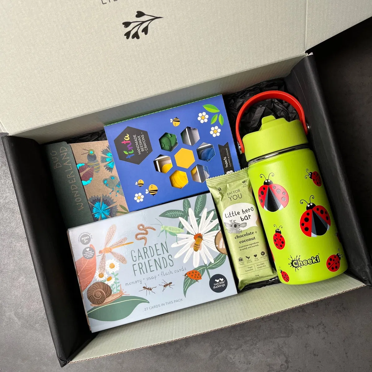 Eco-Friendly &amp; Fun Kids Garden Insect Adventure Gift Hamper Kit