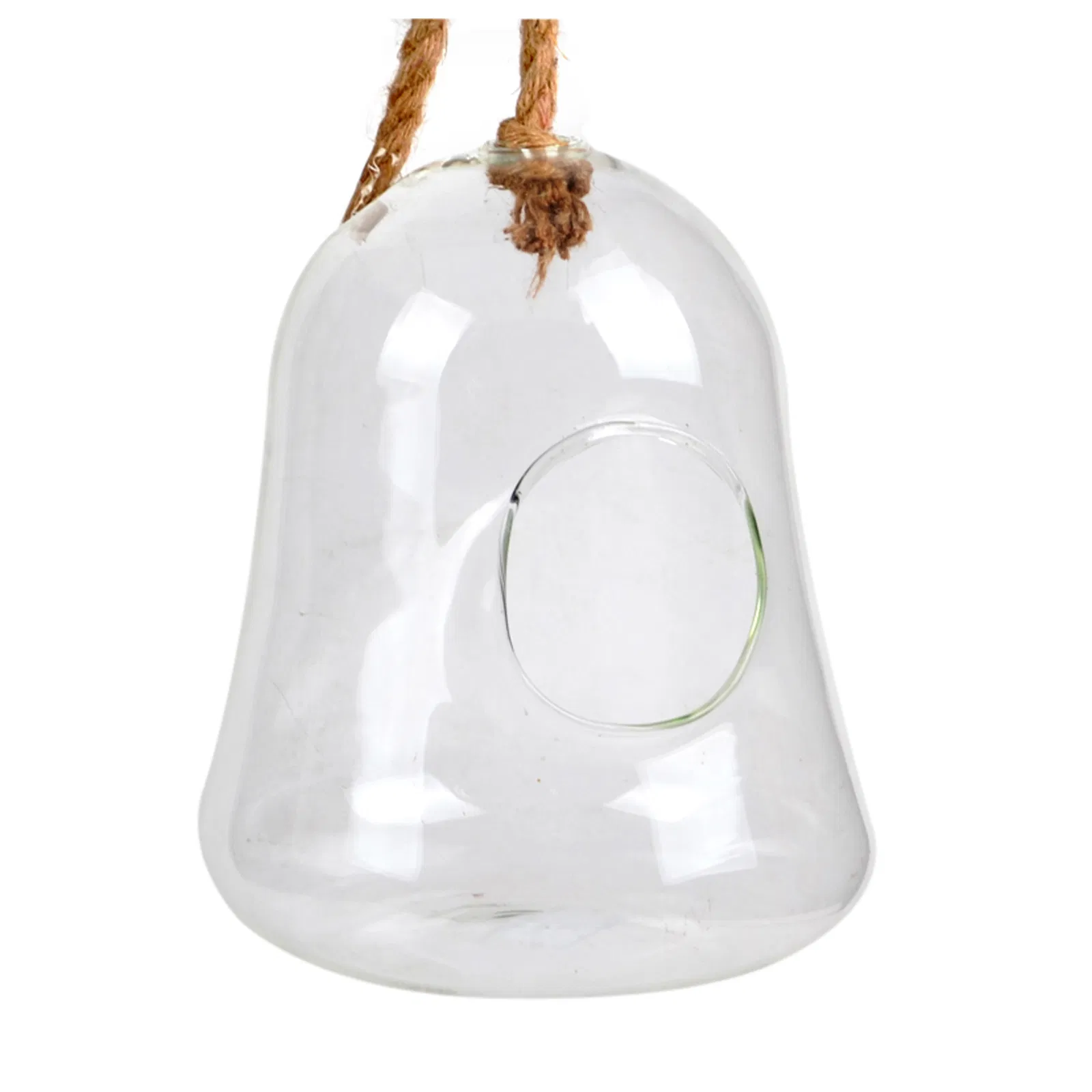 Clear Hanging Succulent Air Plant Terrarium with Rope Decoration