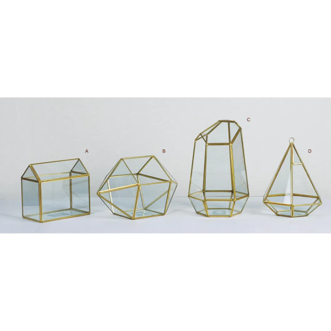 Glass Plant Terrarium 1