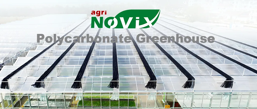 Polycarbonate Greenhouse