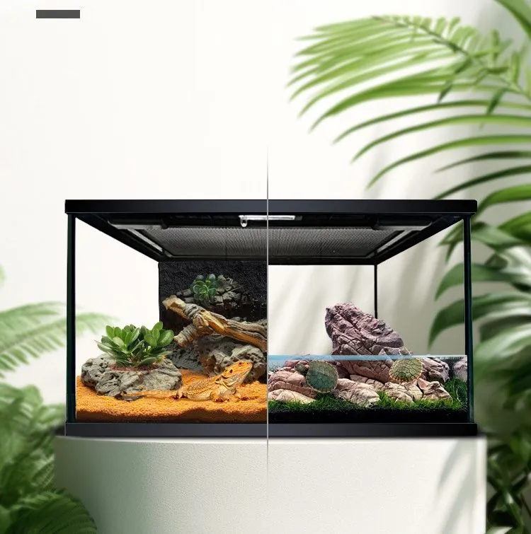 Terrarium Detail View