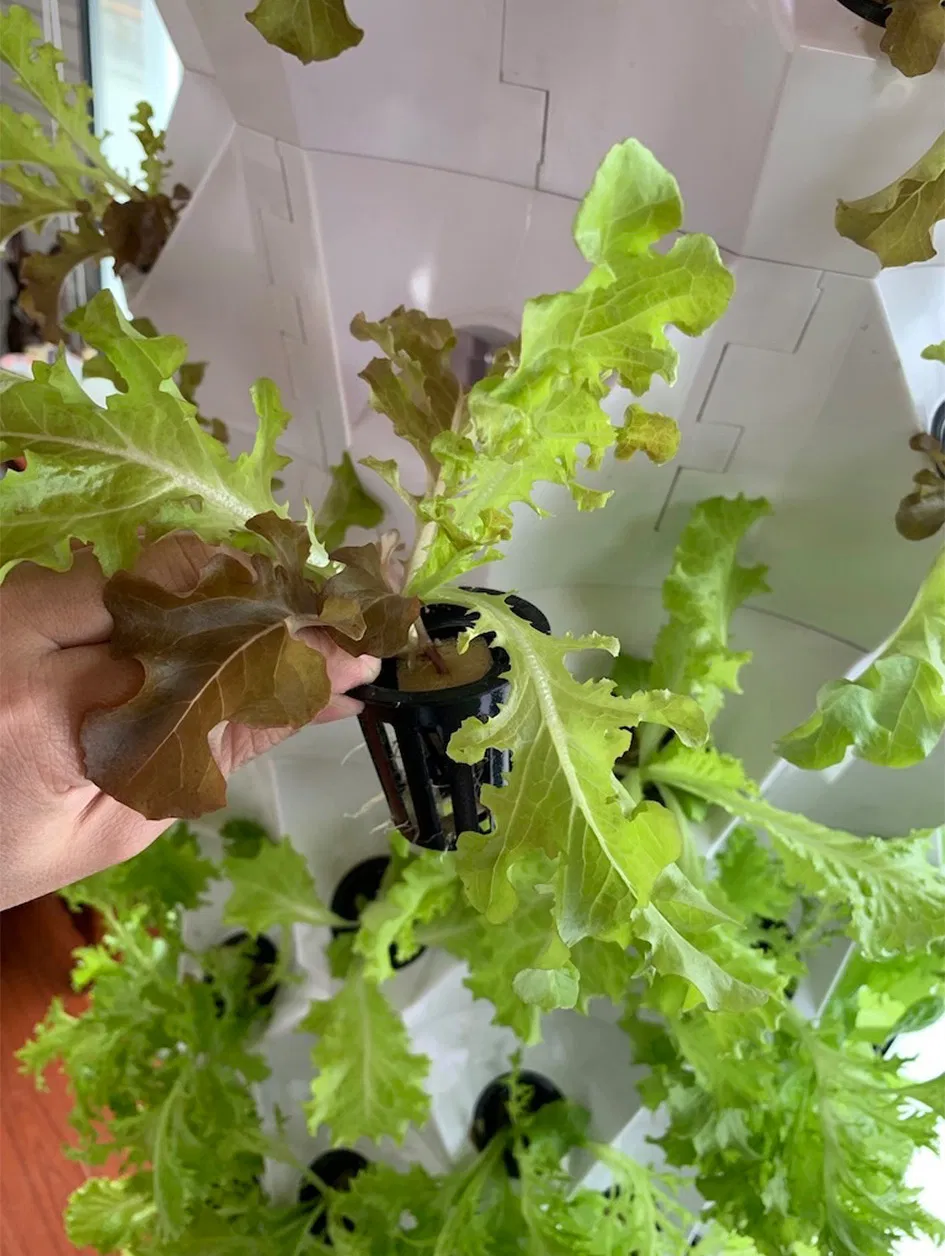 Home Garden Vertical Grow Kit Growing Systems Complete Hydroponic System Smart Home Automation System