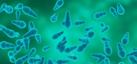 Application Research