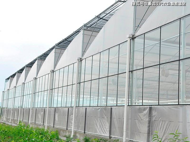 Greenhouse Turnkey Project with Customizable Multispans