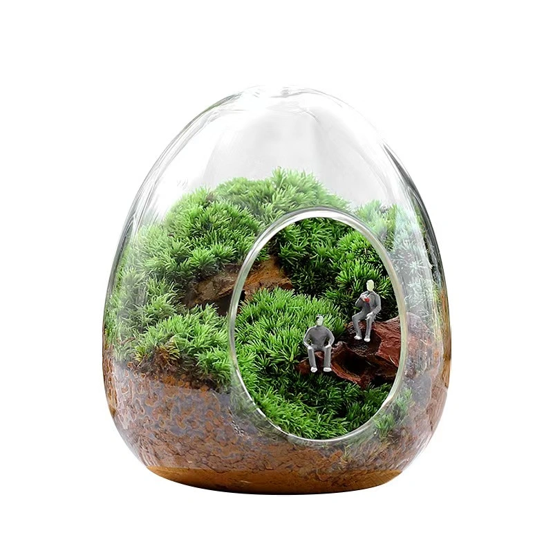 Fairy Garden Decor Egg Shaped Clear Glass Vase Terrariums