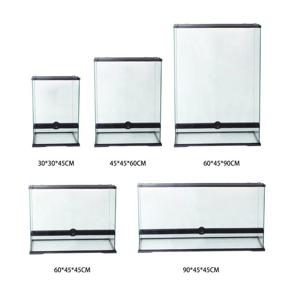 Small Naturalistic Terrarium Rainforest Habitat for Reptile Tortoise Snake