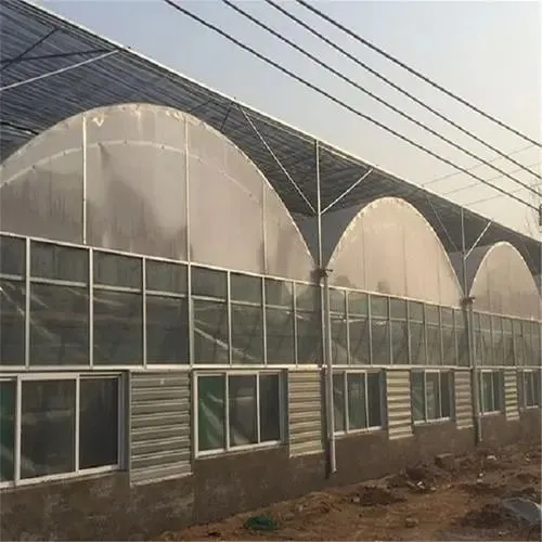 Greenhouse View 1