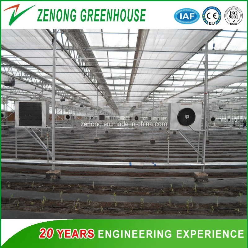 Venlo Tempered Glass Greenhouse with Hydroponics Growing System for Vegetables/ Flowers/ Tomato