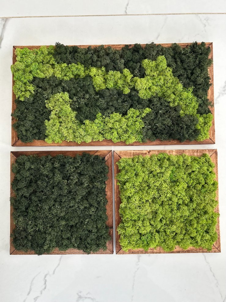 Moss Wall Art Moss Wall Decor Moss Wall Sets Made to Order Little Jungle