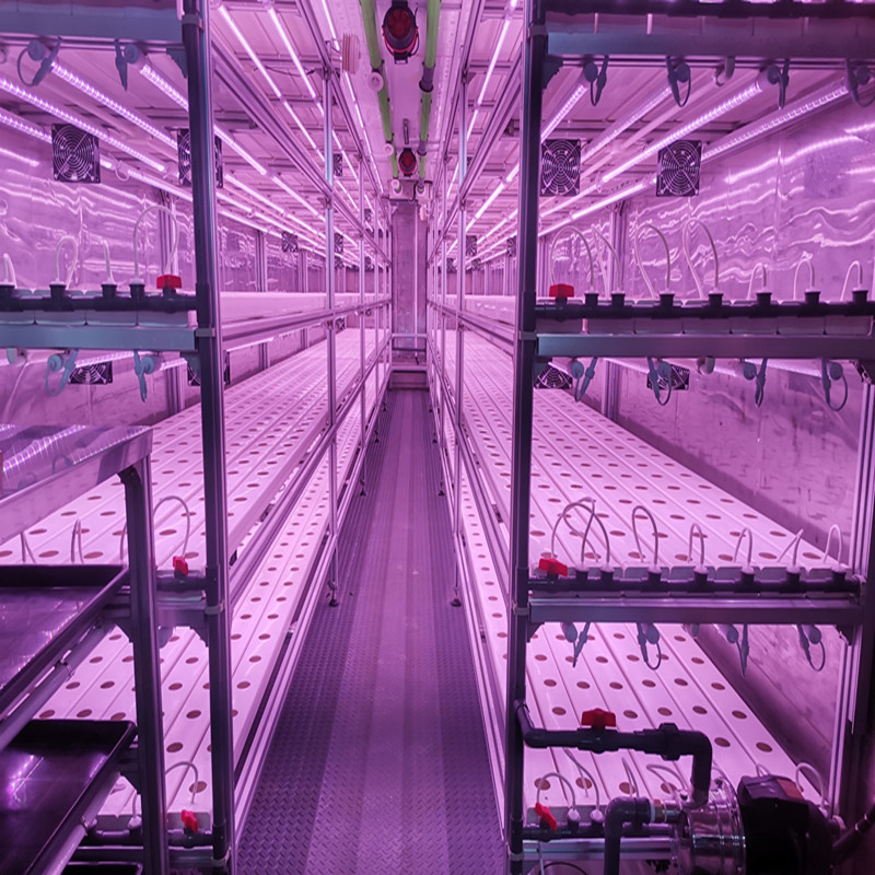 Modern Smart Hydroponic System Growing Shipping Container Greenhouses for Lettuce Leafy Vegetables Farming