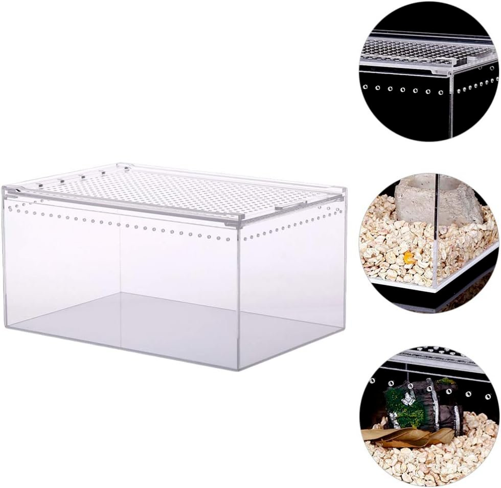 Wholesale Hot Sale Clear Acrylic Reptile Terrarium