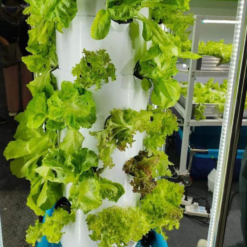 Smart Hydroponic Tower Garden for Greenhouse Home Cultivation