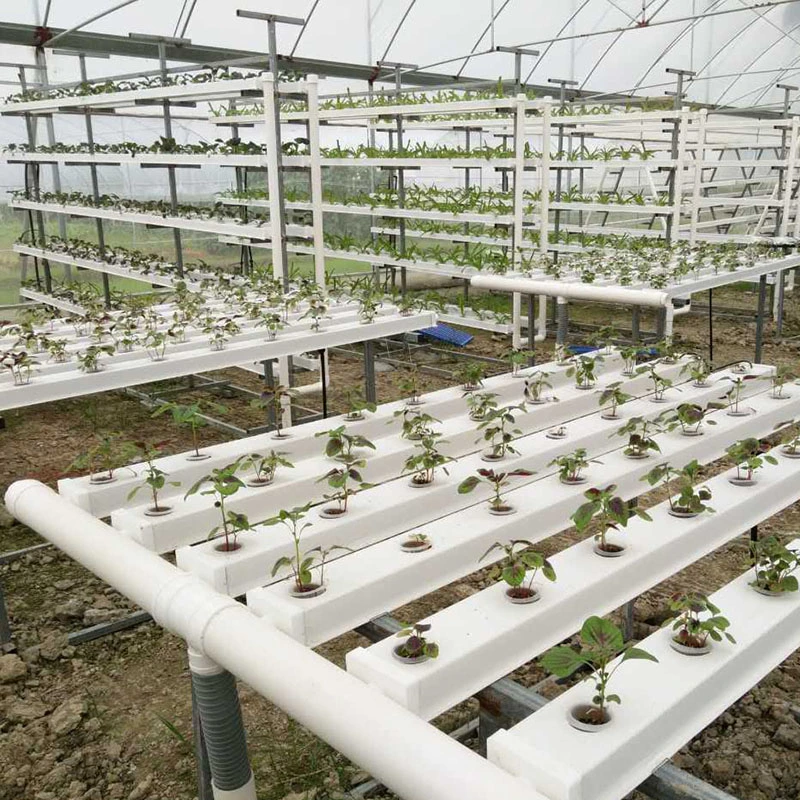 Agriculture Vertical Hydroponics Systems Farm Agriculture Nft Hydroponic Channel