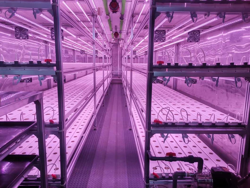 Hydroponic Container 5