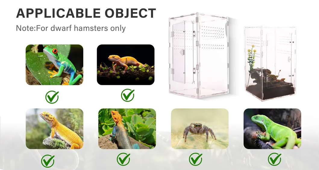 Acrylic Reptile Tank 4