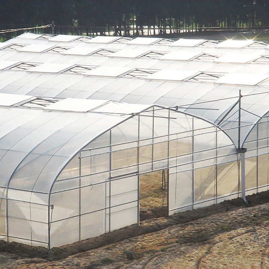Multi-Span Plastic Greenhouse for Medicinal Herbs/Specialty Vegetables/Exotic Plants/Research &amp; Breeding
