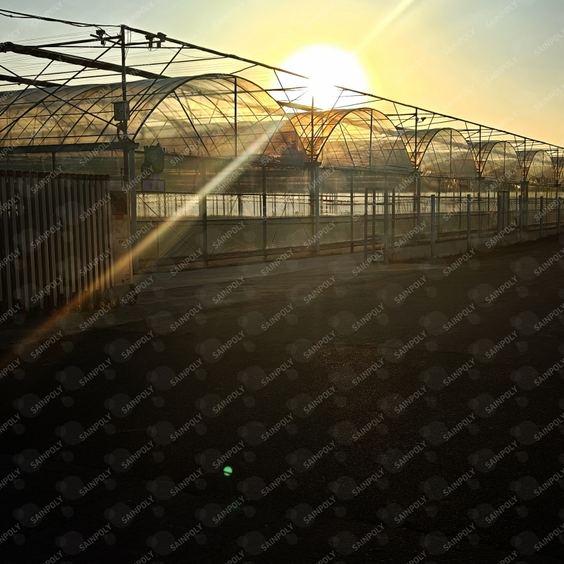 Hydroponic Agriculture Plant Care Solid Film Greenhouse for Sale