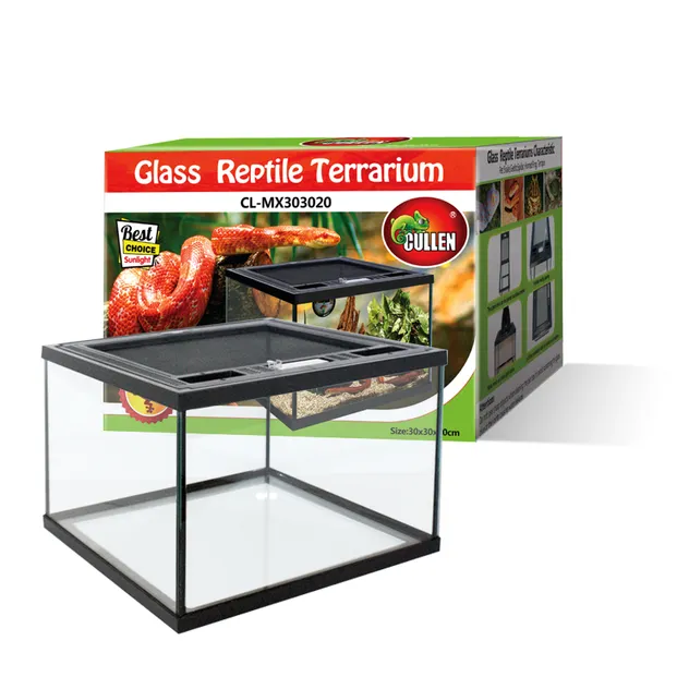 Glass Terrarium View 2