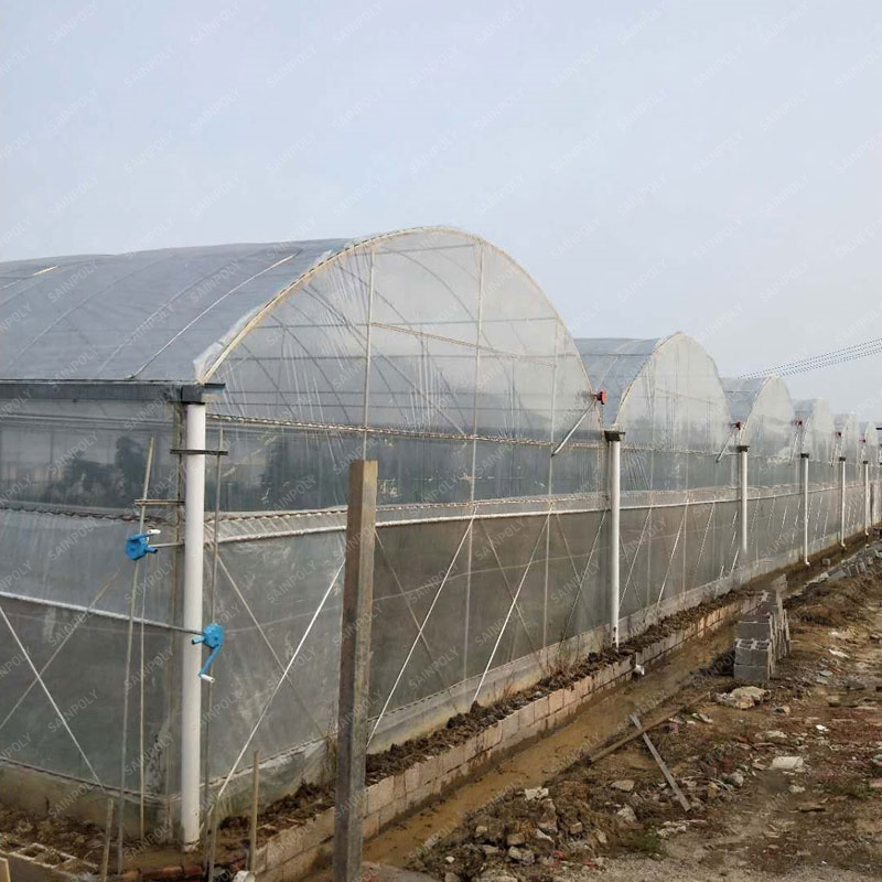 Hydroponic Agriculture Plant Care Solid Film Greenhouse for Sale