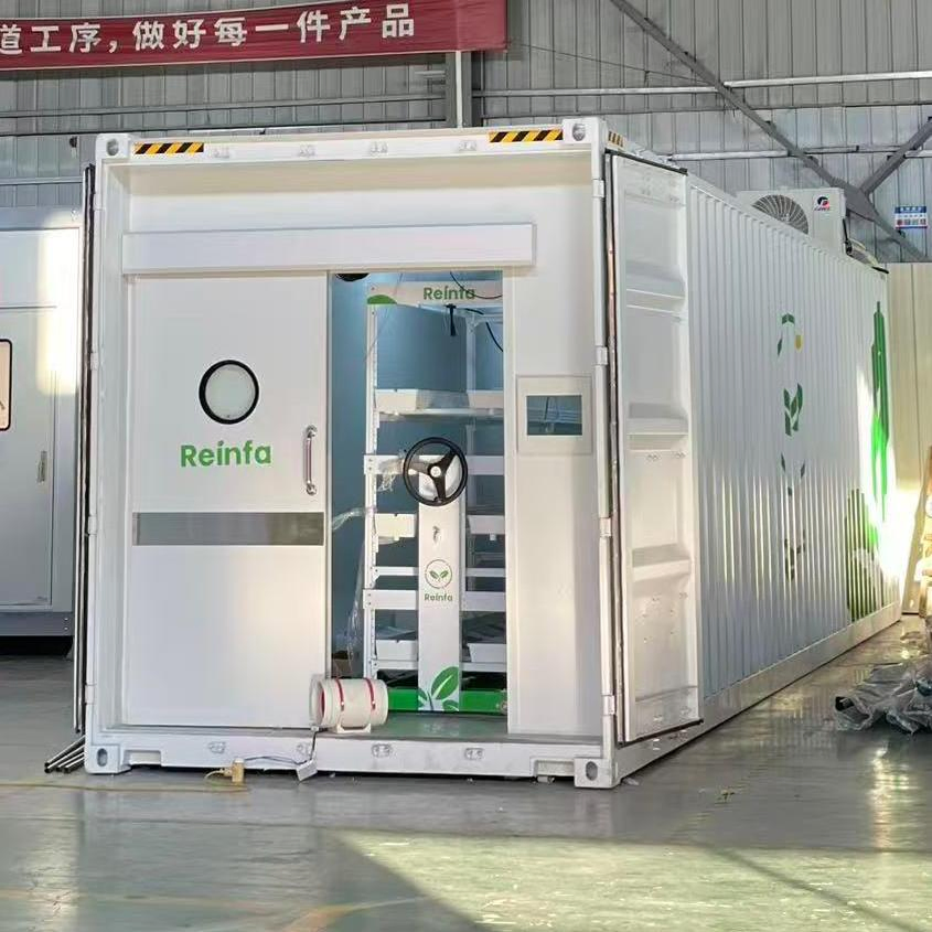 Smart Vertical Grow Hydroponic Farming System Lettuce 40FT Shipping Container Farm