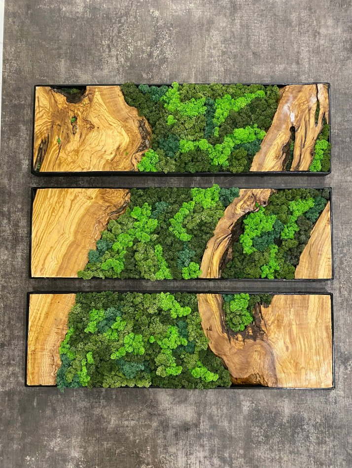 Moss Wall Decor Moss Wall Art Gift for Mom Interior Designer Gift for Husband Minimalist Decor Wall Sets Preserved Moss Art Framed