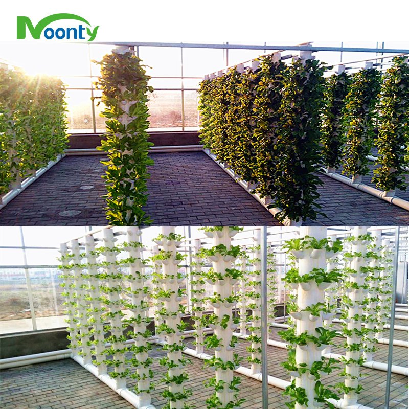 Rooftop Vertical Tower Grow for Microgreens/Lettuce/Butterhead/Sweet Basil Cultivation Urban Farming Hydroponics System