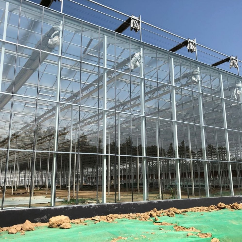 Premium Factory Glass Greenhouse for Hydroponics and Crop Growth