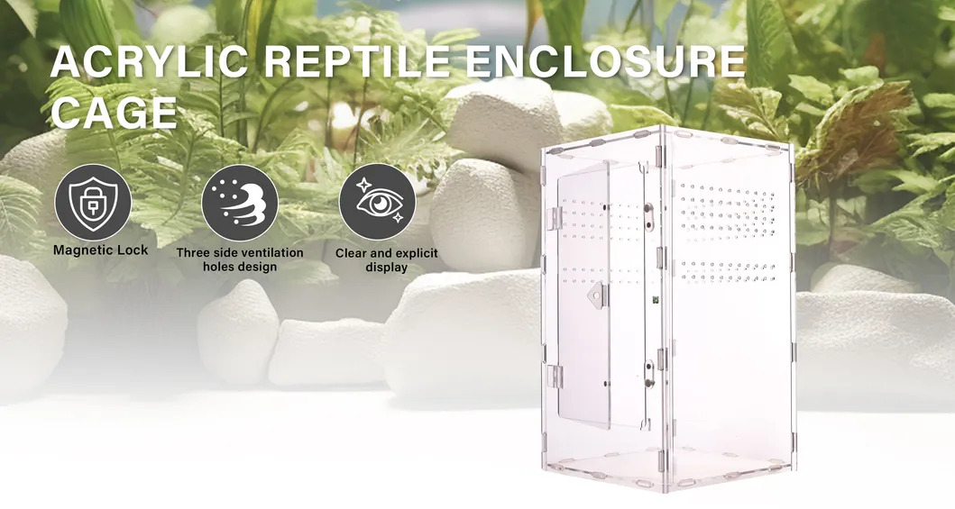 Acrylic Reptile Tank 2