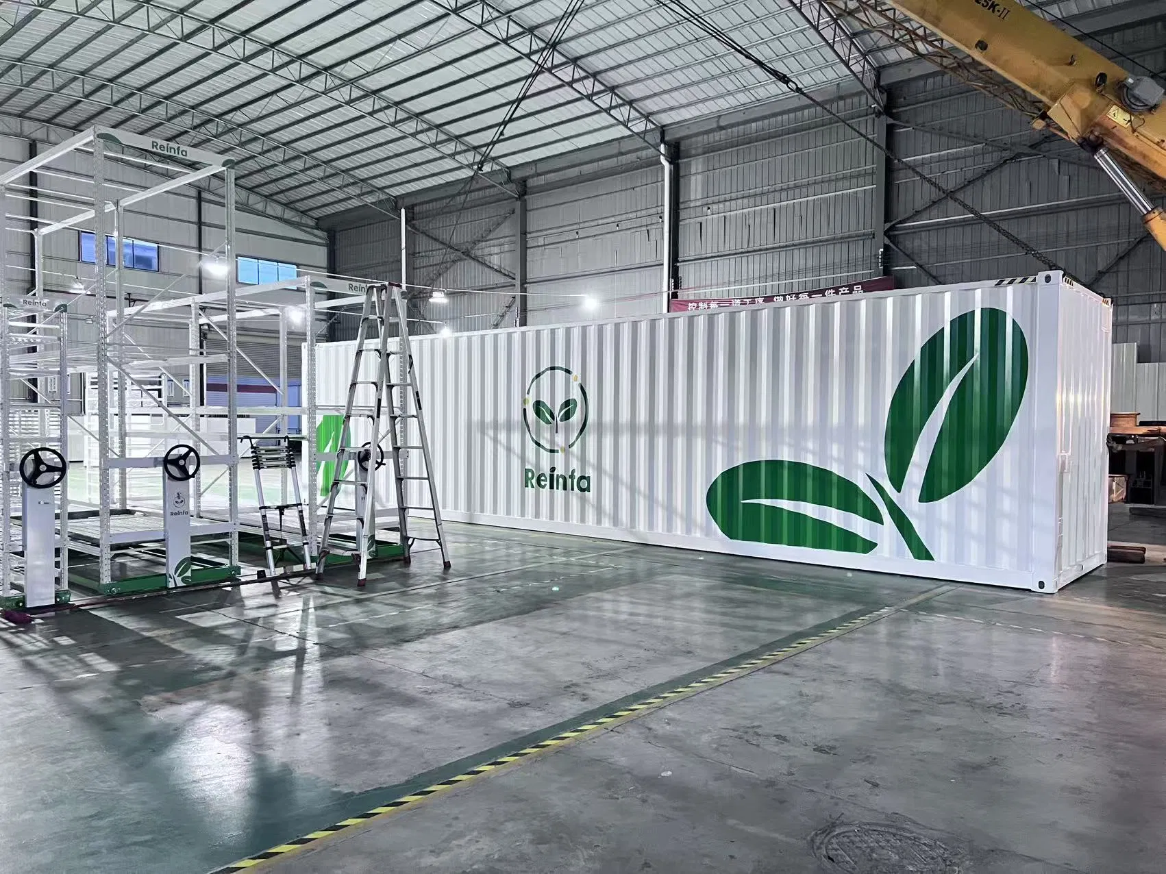 Smart Vertical Grow Hydroponic Farming System Lettuce 40FT Shipping Container Farm