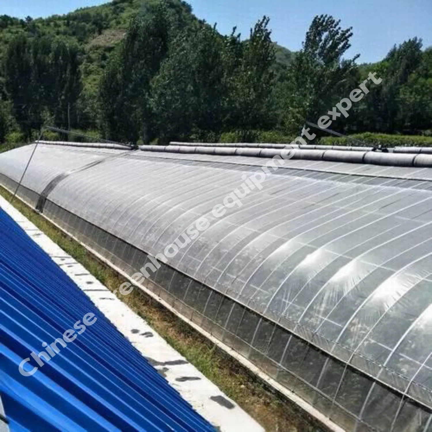 Rooftop Solar Greenhouse for Urban Farming with Lightweight Structure