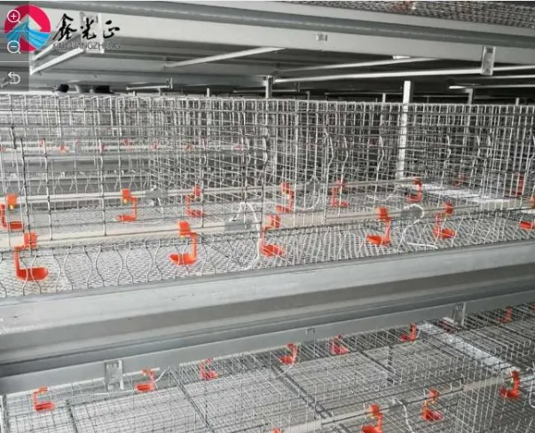 Poultry system