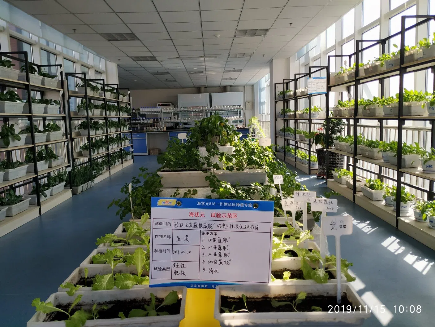 Seaha Organic Fertilizer Humic Acid Liquid Fertilizers Organic Fertilizer