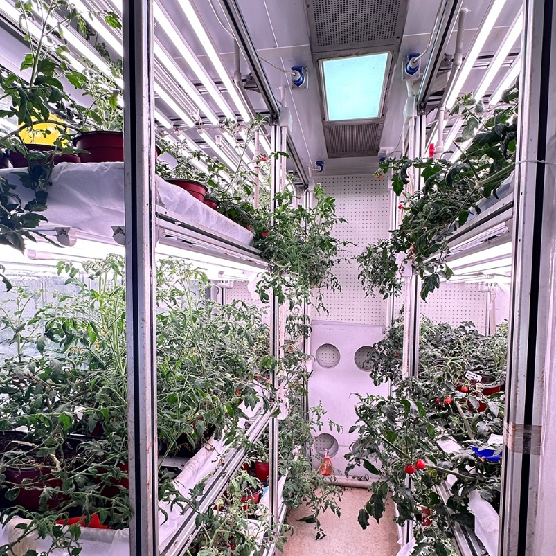 Original Manufacturer Low Cost Smart Growing Hydroponic Container Farm Agricultural Greenhouse Smart Farm Vegetable Container Greenhouse