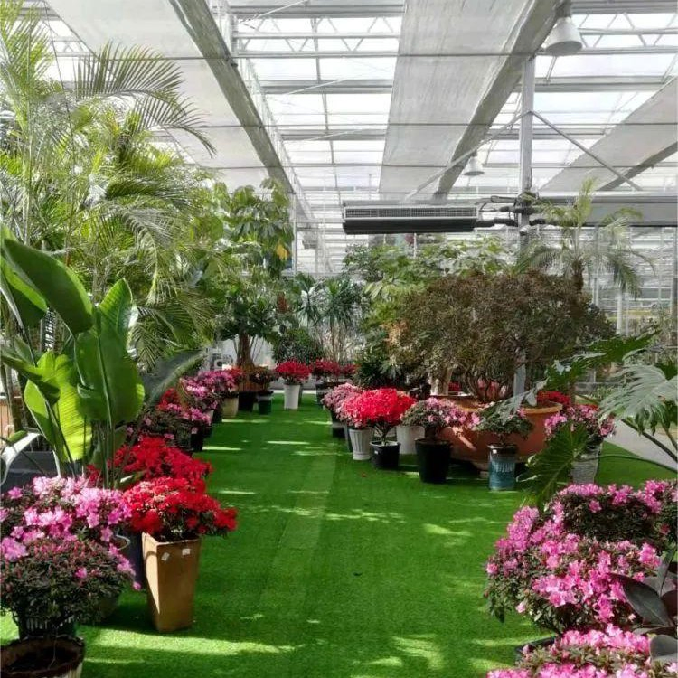 Frame Steel Galvanized Multi-Span/Plastic Film Greenhouse with Hydroponics Irrigation System for Strawberry/Flowers/Vegetables