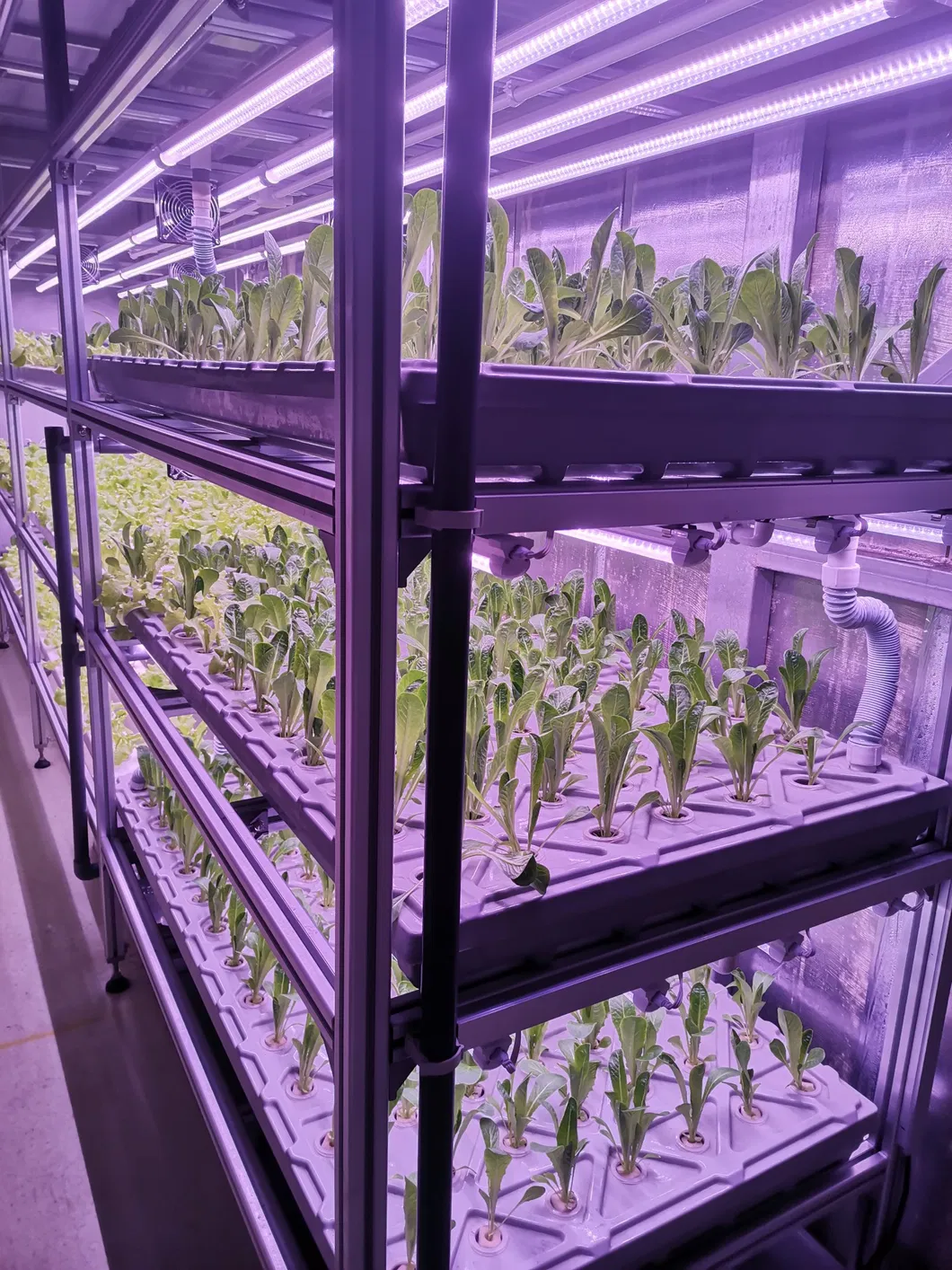 Container Interior 2