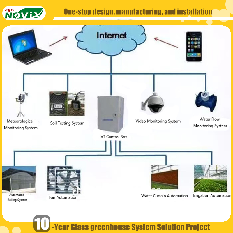 Hydroponic System Large PC Polycarbonate Greenhouse for Multi Crop Farming