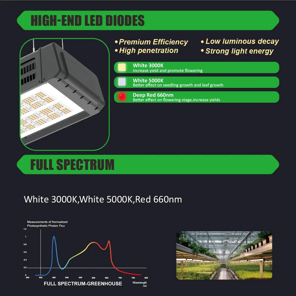 CE Certified 800W LED Grow Light IP65 Waterproof 3.3 Umol/J High Efficacy for EU Vertical Farming &amp; Hydroponics Energy Saving Commercial Full Spectrum Light