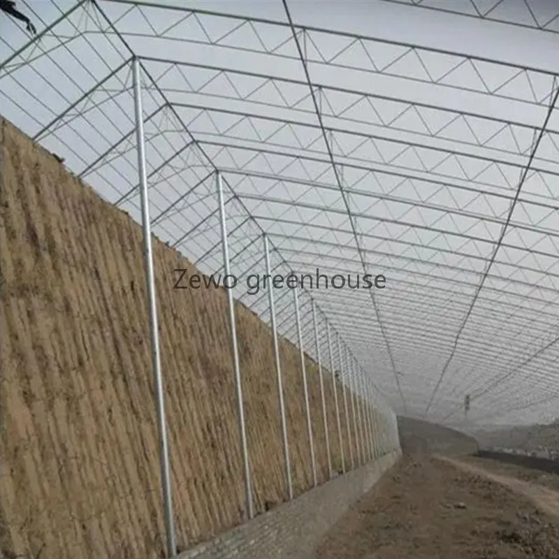 Greenhouse Structure 11