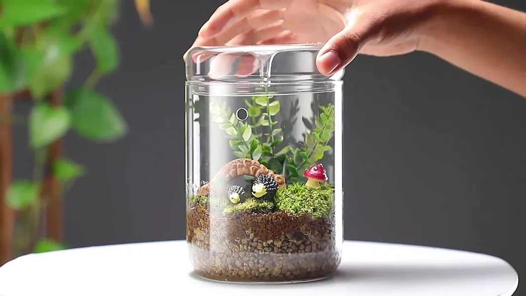 Glass Terrarium 5